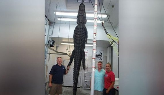 Zbulohet misteri 20-vjeçar pasi aligatori 4 metër i gjatë vritet dhe i çahet barku 