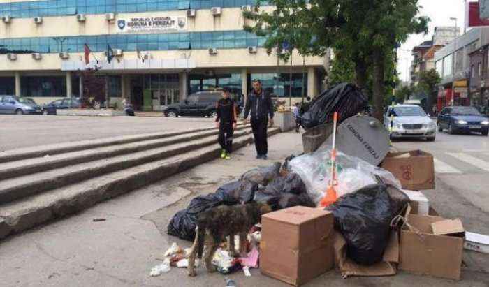 Mbeturinat para Komunës së Ferizajt, rrezik dhe pasiguri nga qentë endacakë