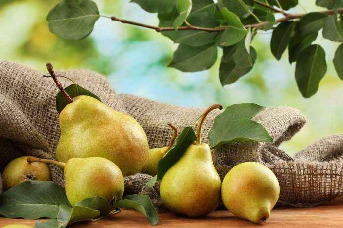 Mbretëresha e shtatorit: Për t'u ndier më mirë, hani dardhë 