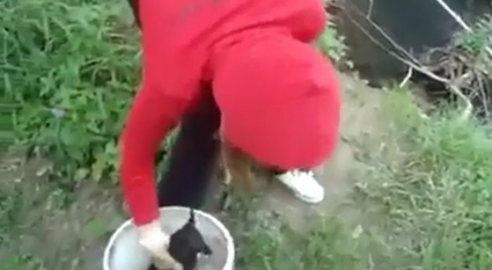Kjo vajzë argëtohet duke hedhur këlyshët e qenit në lumë (Video +16)