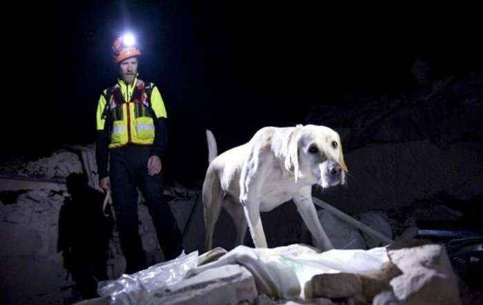 Prekëse, qeni nuk ndahet nga arkivoli i të zotit që humbi jetën nga tërmeti në Itali  (Video)