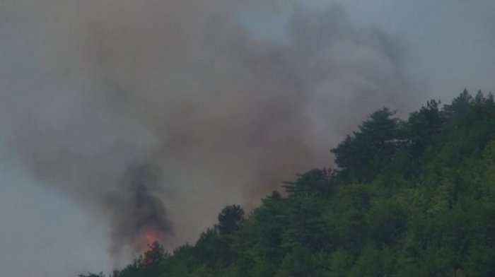  Zjarri përfshin kurorën me pisha në parkun e Viroit në Gjirokastër