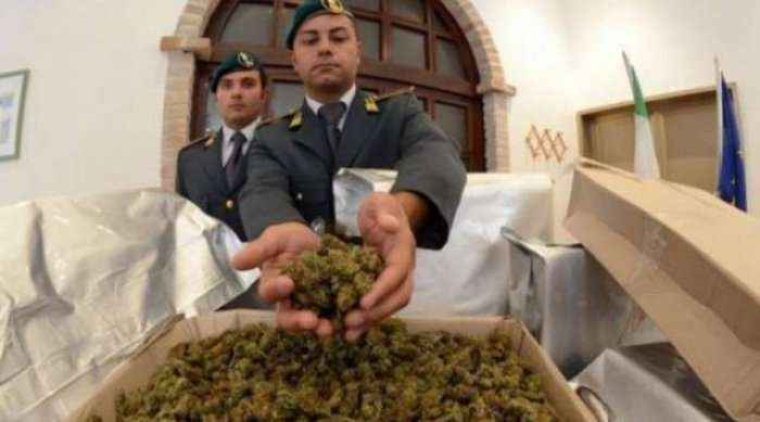 Shqipëri: Sekuestrohen 500 kg marihuanë me vlerë 5 mln euro