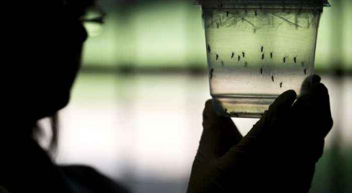Amerika do t'i jap 1.8 miliardë dollarë kundër virusit Zika