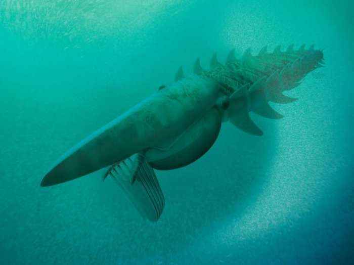Zbulohet një përbindësh deti, 480 milionë vjet i vjetër