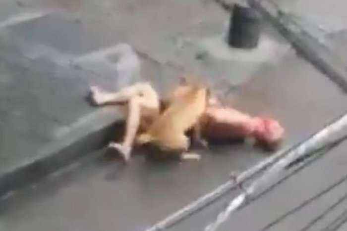 Momenti kur qeni pitbull masakron një burrë në rrugë (Video +18)