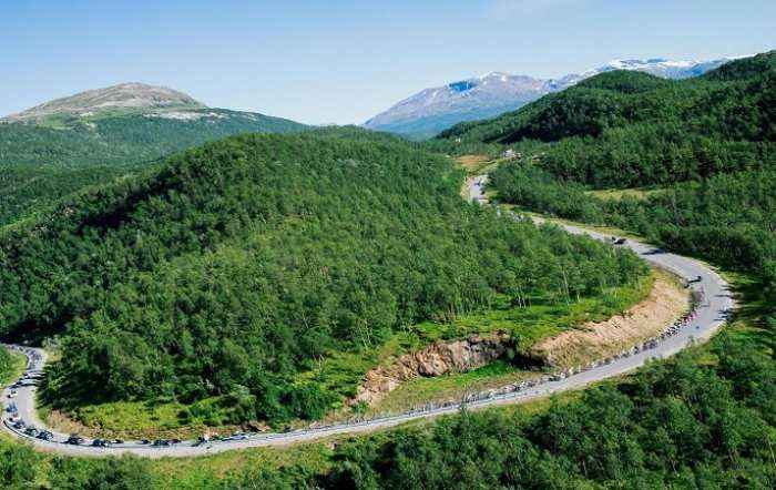 Norvegjia bëhet vendi i parë në botë që angazhohet për “zero shpyllëzim” kombëtar