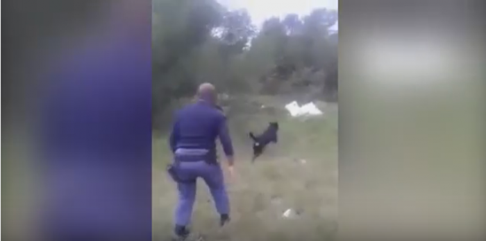 Qeshni me lot me këtë video: Shiheni ku e çon qeni nuhatës policin
