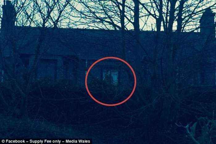 Fermeri uellsian tmerrohet nga fantazma në dritaren e fermës së tij 