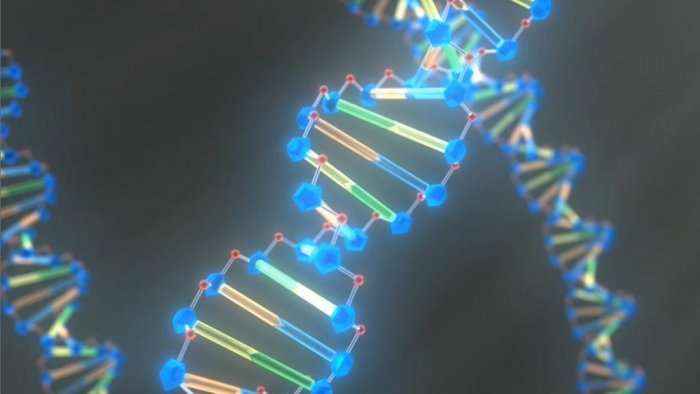 Kodi ynë gjenetik pushoi së evoluari 3 miliardë vjet më parë