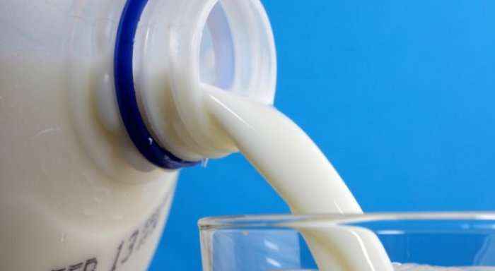 Protesta në Amsterdam për shkak të uljes së çmimit të qumështit