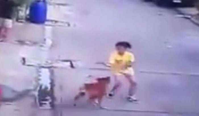 Qeni sulmon vajzën, i shqyen fytyrën (Video)