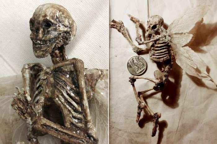 Skeletët misteriozë të njerëzve me krahë