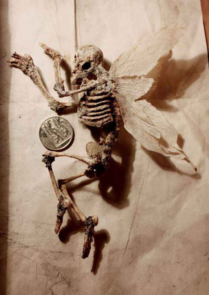 Skeletet misterioze, të gjetura në Londër