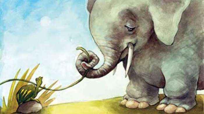 Ja pse elefantët i kanë veshët të mëdhenj