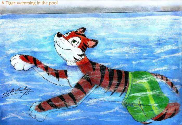 Tigrat e adhurojnë ujin dhe notin