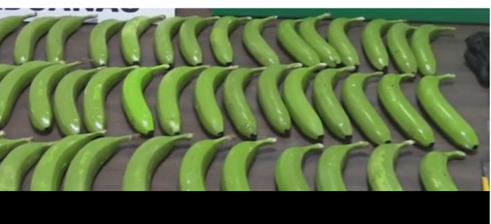 Edhe kjo ndodhë, banane të mbushura me drogë (Video)