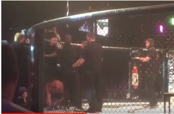 Çmenduri nga McGregor, futet në ring dhe e sulmon gjyqtarin (Video) 
