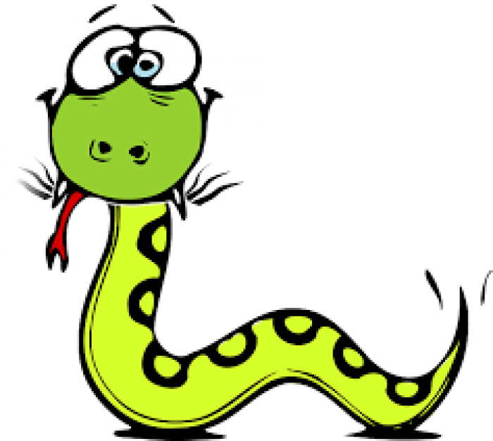 10 fakte të frikshme për gjarpërinjtë
