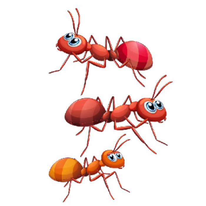 A e keni ditur këtë për milingonat e zjarrit ?