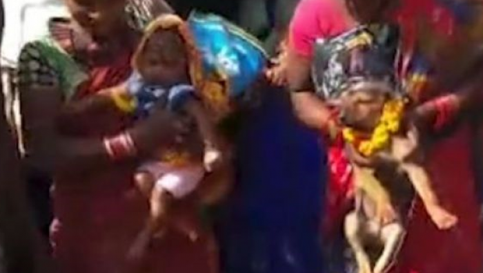 Tmerruese: Vajzën 8 muajshe e martojnë me një qen për një arsye krejt banale (VIDEO)