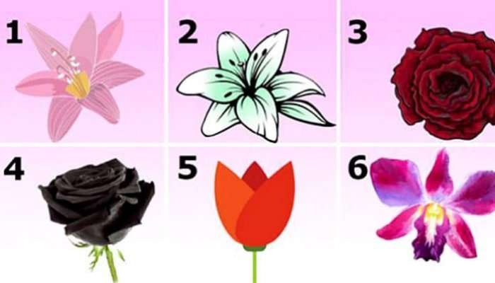 Zgjidheni lulen më tërheqëse, do të kuptoni fshehtësi mahnitëse rreth karakterit tua