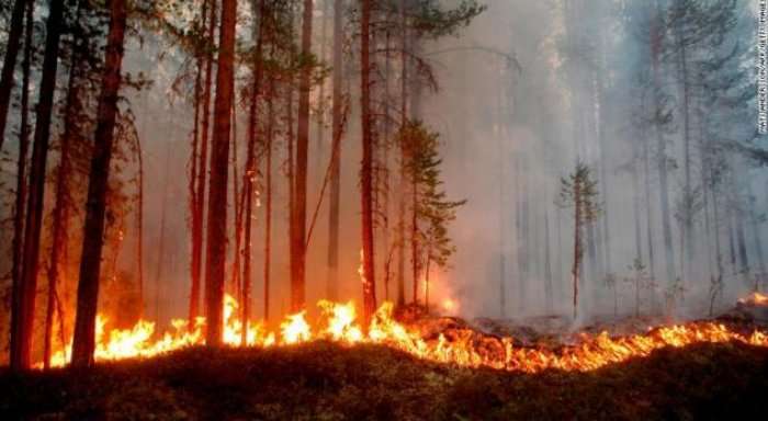 Zjarret shkrumbojnë Suedinë (Video)
