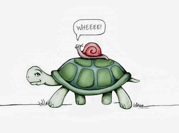 Pse janë breshkat dhe kërminjtë e ngadalshëm?