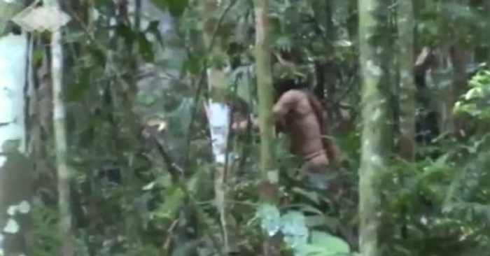 I mbijetuari i fundit i njohur i fisit amazonian filmohet duke prerë një pemë – pas 22 vitesh jete i vetmuar në xhungël