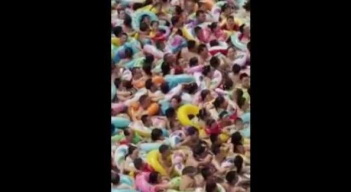 Askush s’do donte ta vizitonte një pishinë të tillë (Video)