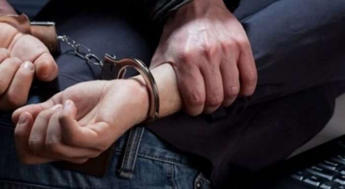 Policia arreston një person në Novobërdë, pasi bartte dru ilegalisht