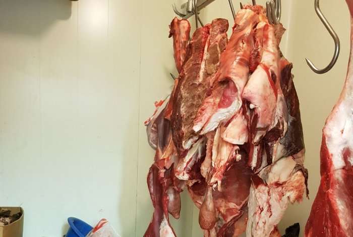 Në Ferizaj konfiskohen afro 1 ton mish dhe nënprodukte të mishit