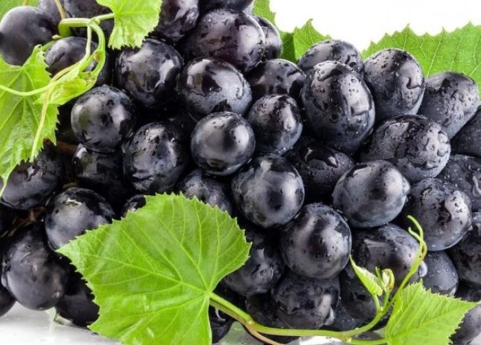 Dieta me rrush: Hiqni 5 kilogramë për vetëm 4 ditë