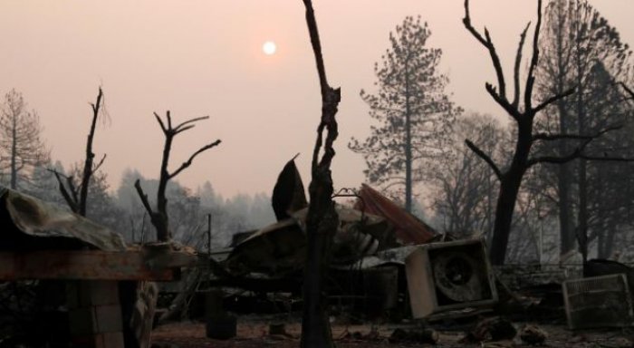 13 miliardë dollarë dëme nga zjarret në Kaliforni