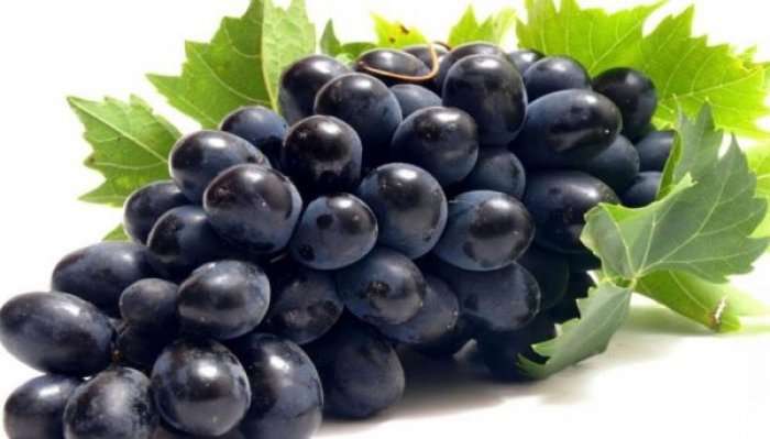 Rrushi, vetitë ushqyese dhe ndikimi në shëndet