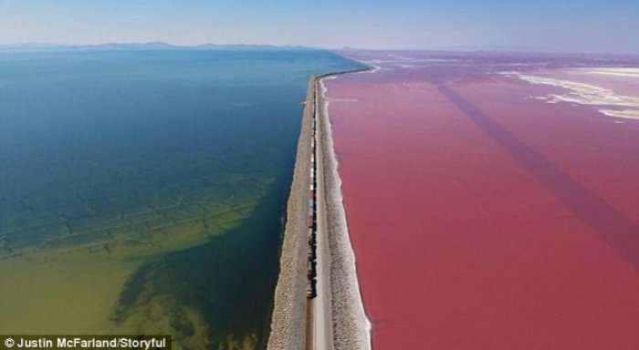 E mahnitshme: Nivelet e kripësisë e bëjnë liqenin gjysmë blu e gjysmë rozë (Video)