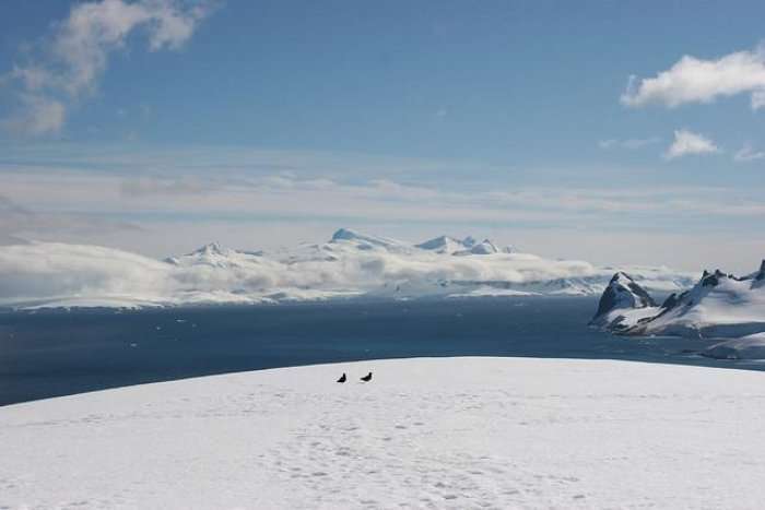 Në Antarktik dikur jetonte një civilizim i zhvilluar