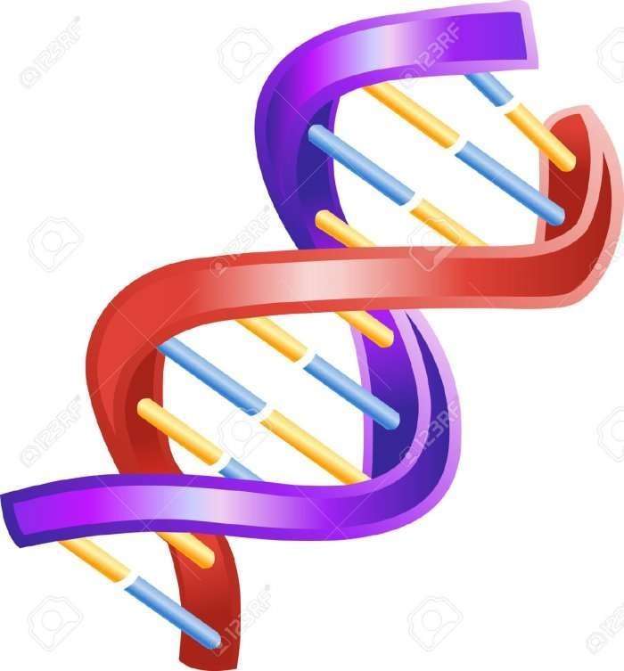 Çfarë studion gjenetika?