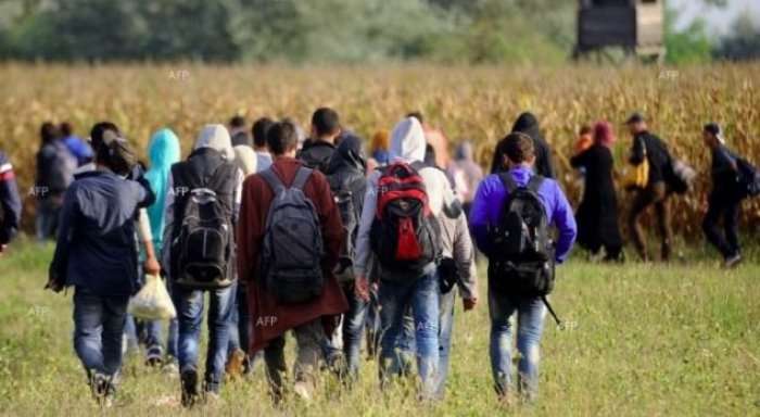 Policia e Maqedonisë për pesë ditë ka ndaluar 121 emigrantë që tentuan të futen nga Serbia
