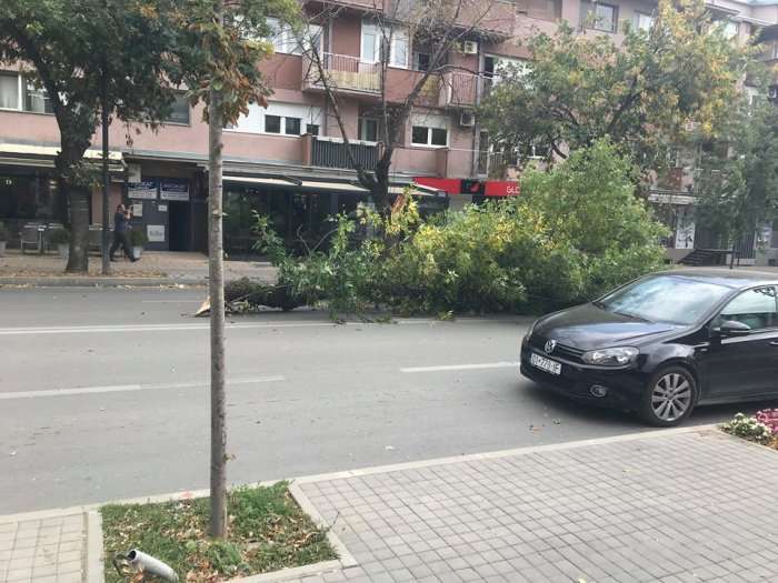 Mësojeni sa ishte shpejtësia e erës që rrëzoi lisa sot në Prishtinë