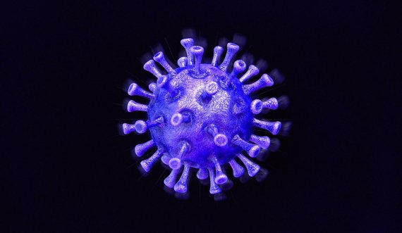 Mbi 30 milionë njerëz të infektuar me koronavirus në botë