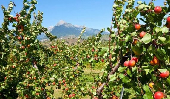  Zvicra, referendum për ndalimin e pesticideve 