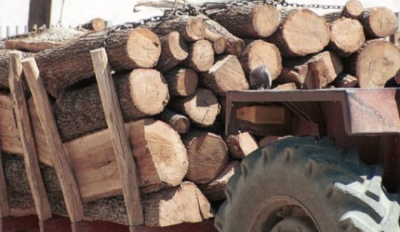 Tragjike: Burri nga Gjilani vdes pasi i ra druri teksa po i ngarkonte në rimorkion e traktorit