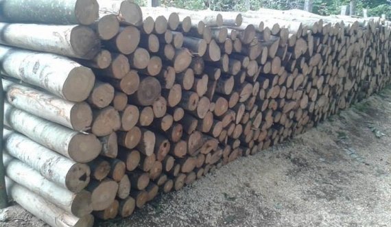 Kjo komunë e Kosovës po i shet drunjtë për dimër: Veç 18 euro për metër