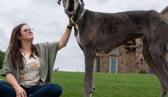 Qeni më i gjatë në botë Zeus ka ngordhur