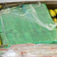 Në këtë vend mbi 100 kg kokainë zbulohet në arkat me fruta në disa supermarkete