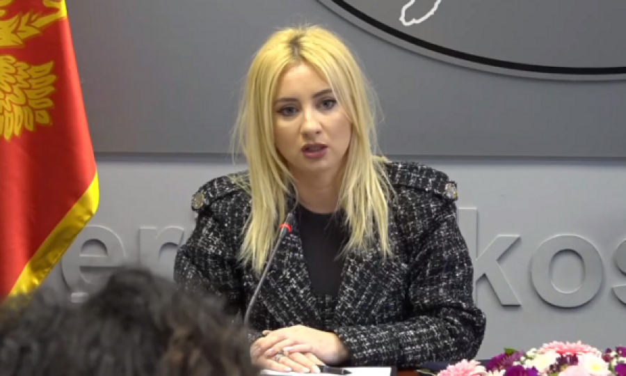 Gorçeviq: Mali i Zi në Komitetin e Ministrave do ta përkrahë Kosovën për anëtarësim në Këshillin e Europës