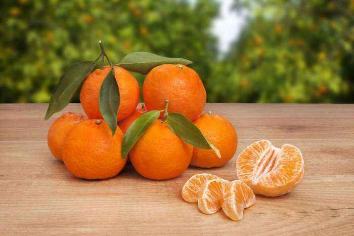 Mandarinat: Arsyet pse duhet t'i hani