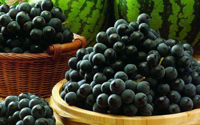 Rrushi, jo vetëm i shijshëm, por edhe shërues