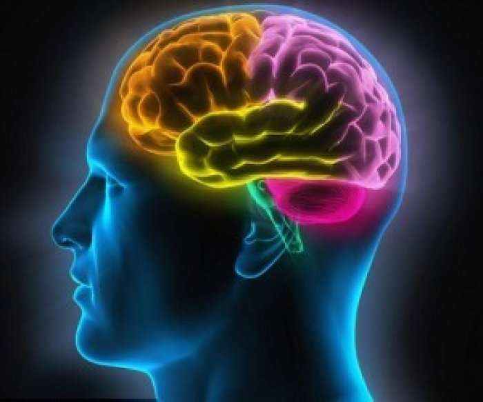 Si i mban truri ynë brenda gjithë ato informacione?